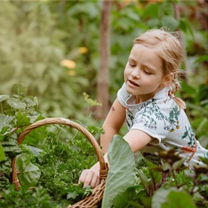 KINDER SPIELERISCH IN DIE ERNTE EINBEZIEHEN