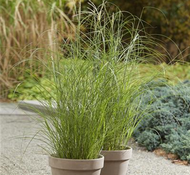 DER HERBST STEHT VOR DER TÜR! 