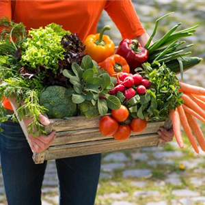 JETZT KANN GEERNTET WERDEN! 