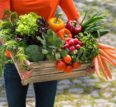 JETZT KANN GEERNTET WERDEN! 