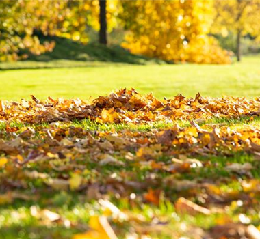 TO-DO'S IM OKTOBER TO-DO'S IM OKTOBER