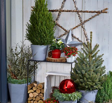 TO-DO's IM DEZEMBER TO-DO's IM DEZEMBER