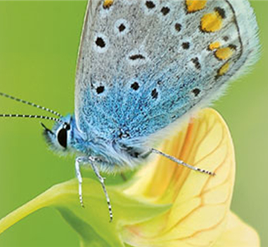 ALLES BIO, ODER WAS? 