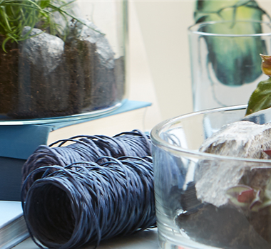 MICRO LIVING MICRO LIVING