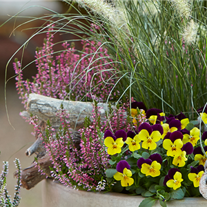 TERRASSENTRENDS IM HERBST