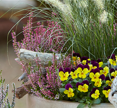 TERRASSENTRENDS IM HERBST TERRASSENTRENDS IM HERBST