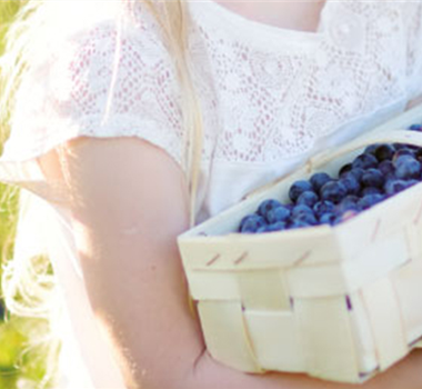 GESUND UND LECKER! GESUND UND LECKER!