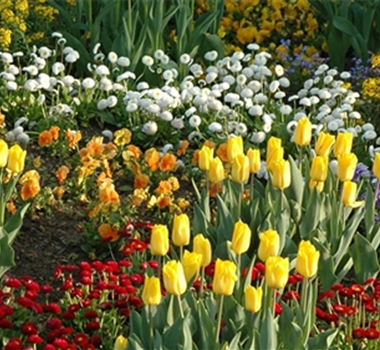 EINE TüTE VOLL FRüHLING!