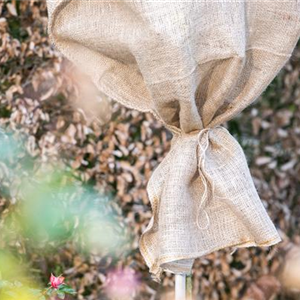 WINTERSCHUTZ IM BEET UND VOR DER TüR