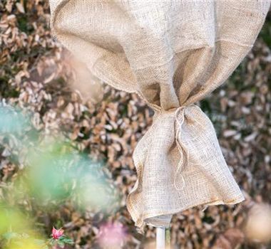 WINTERSCHUTZ IM BEET UND VOR DER TüR WINTERSCHUTZ IM BEET UND VOR DER TüR