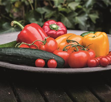 GEMüSE VEREDELN! GEMüSE VEREDELN!