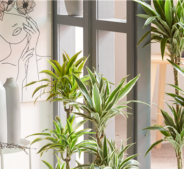 GRÜNES UPDATE FÜR DEIN HOMEOFFICE!