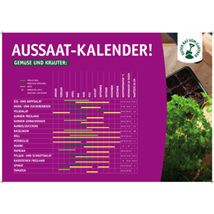 AUSSAAT, DIE AUFGEHT!
