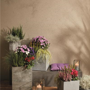 EIN KUNTERBUNTER HERBST!