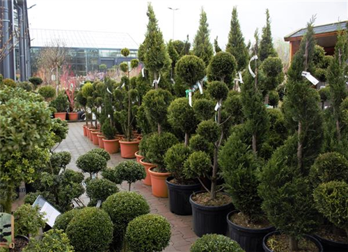 Gärtner & Landschaftsgärtner (w/m/d)