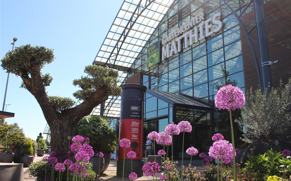 Störer-Bild Störer-Bild