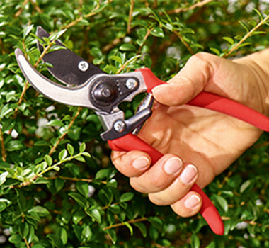 Ziergarten im März Ziergarten im März