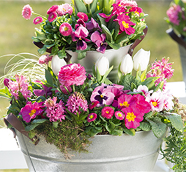 Terrasse & Balkon im Mai Terrasse & Balkon im Mai