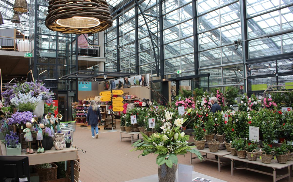 Störer-Bild Störer-Bild