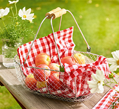 Gemüse-, Kräuter- und Obstgarten im September Gemüse-, Kräuter- und Obstgarten im September