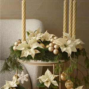 WILLKOMMEN IM FESTZAUBER!