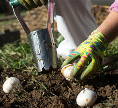 Ziergarten im Oktober Ziergarten im Oktober