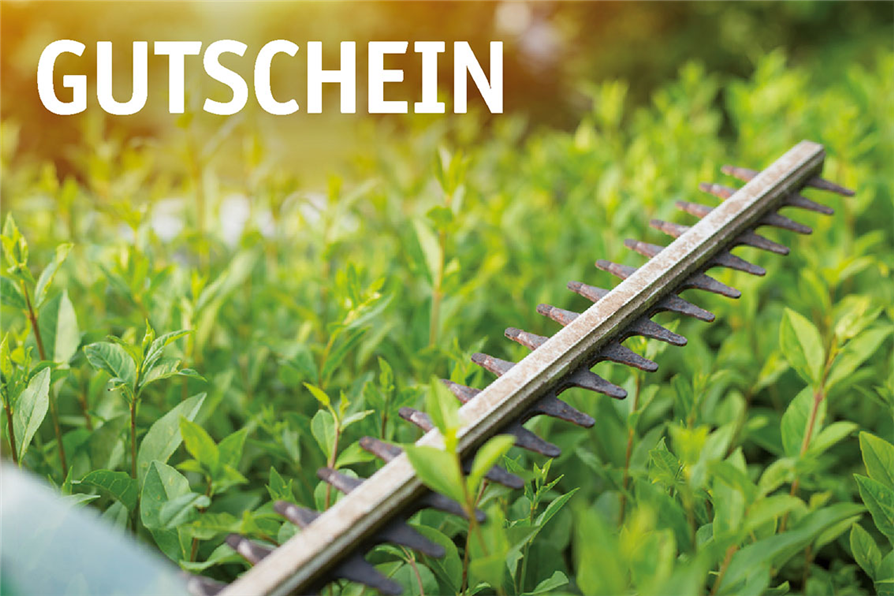 Versand Gutschein