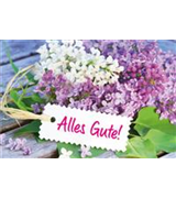 Versand Gutschein