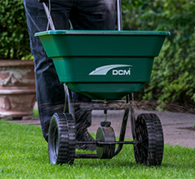 Schöner Herbstrasen Schöner Herbstrasen