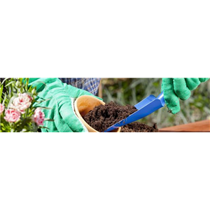 Buch des Monats: Januar!