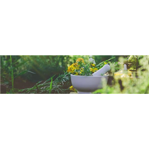 Buch des Monats: März!