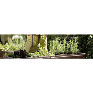 Buch des Monats: April!