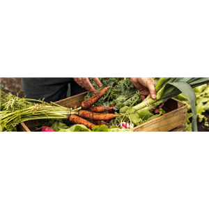 Buch des Monats: Juni!