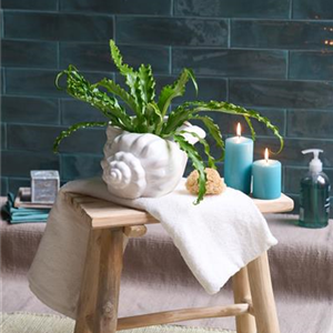 AUF EIN NATÜRLICHES OSTERFEST!