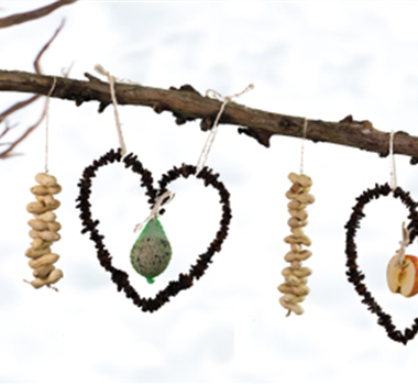 Ein (Futter)Herz für Vögel Ein (Futter)Herz für Vögel