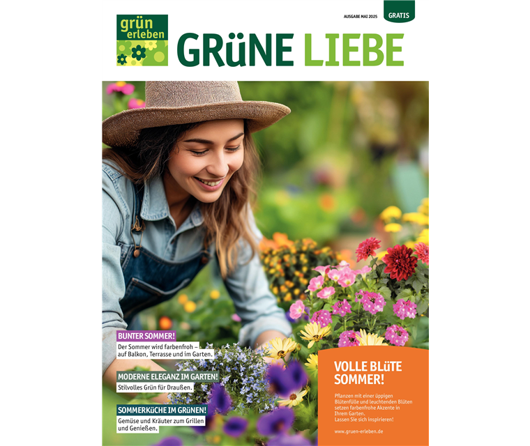 Ausgabe Mai 2025