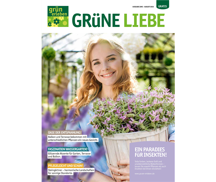 Ausgabe Juni-August 2025