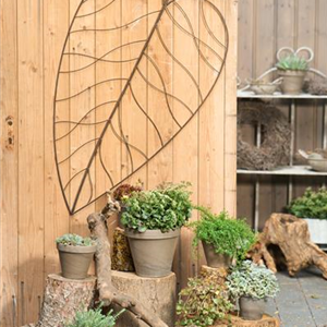 PFLEGELEICHT & ZEITLOS SCHöN! 