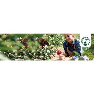 OBSTGARTEN!