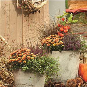 DEKORIEREN MIT STIL!